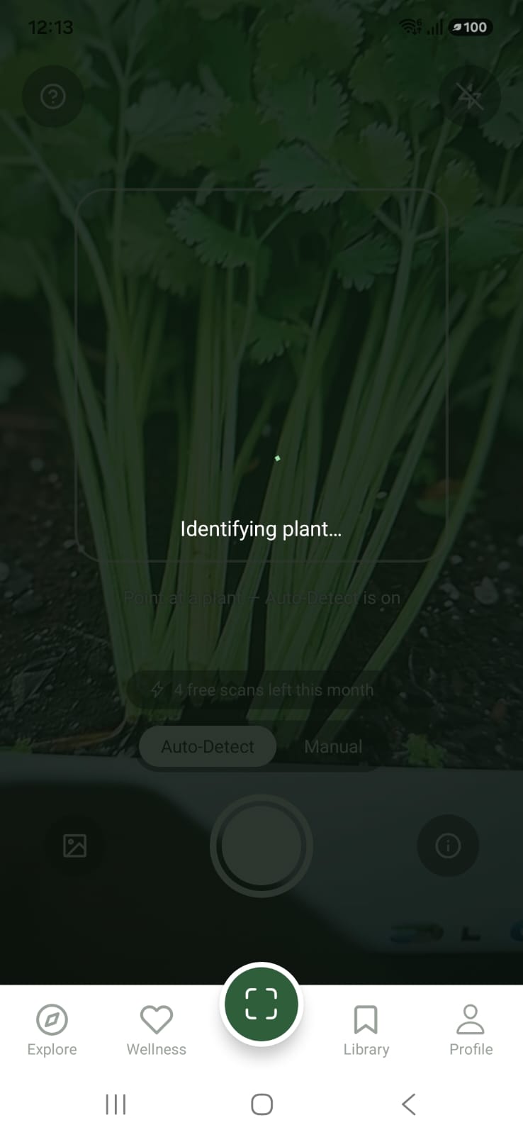 Camera identifying a plant, showing scans remaining this month